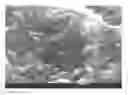 Fig. 01 - CONFORMABLE AND ADHESIVE SOLID COMPOSITIONS FORMED FROM METAL NANOPARTICLES AND METHODS FOR THEIR PRODUCTION AND USE