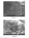 Fig. 04 - CONFORMABLE AND ADHESIVE SOLID COMPOSITIONS FORMED FROM METAL NANOPARTICLES AND METHODS FOR THEIR PRODUCTION AND USE
