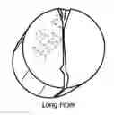 Fig. 01 - Wellbore servicing compositions and methods of making and using same