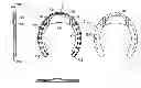 Fig. 01 - Horseshoe with splaying, and stabilizer feature