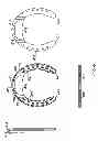 Fig. 05 - Horseshoe with splaying, and stabilizer feature