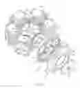 Fig. 04 - SONIC DRILL HEAD