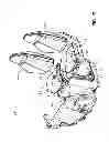 Fig. 06 - Side-by-side ATV