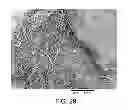 Fig. 28 - Processing biomass and petroleum containing materials