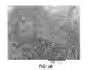 Fig. 29 - Processing biomass and petroleum containing materials