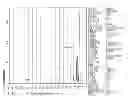 Fig. 52 - Processing biomass and petroleum containing materials