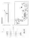 Fig. 63 - Processing biomass and petroleum containing materials