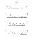 Fig. 05 - TWO-DIMENSIONAL ELECTROPHORESIS KIT, METHOD FOR MANUFACTURING TWO-DIMENSIONAL ELECTROPHORESIS KIT, TWO-DIMENSIONAL ELECTROPHORESIS METHOD, AND TWO-DIMENSIONAL ELECTROPHORESIS CHIP