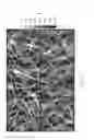 Fig. 03 - Semi-permeable membrane and a method of manufacturing the semi-permeable membrane thereof