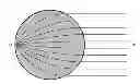 Fig. 01 - Imaging device and method