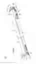 Fig. 02 - Multi-optical axis photoelectric sensor with a case body and molded end members