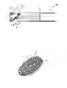 Fig. 02 - Detector and charged particle beam instrument