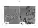 Fig. 02 - HYBRID MATERIAL COMPRISING GRAPHENE AND IRON OXIDE, METHOD FOR MANUFACTURING THE SAME, AND APPARATUS FOR TREATING WASTE WATER USING THE SAME