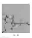 Fig. 06 - Synergistic multiphase hydride alloy