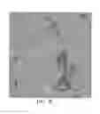 Fig. 11 - Synergistic multiphase hydride alloy