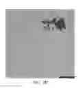 Fig. 13 - Synergistic multiphase hydride alloy