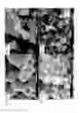 Fig. 02 - METALS DOPED WITH ORGANIC MATERIAL