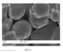 Fig. 04 - Core-shell nickel alloy composite particle metallization layers for silicon solar cells
