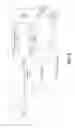 Fig. 03 - High capacity select switches for three-dimensional structures