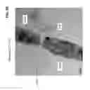 Fig. 08 - Manufacturable sub-3 nanometer palladium gap devices for fixed electrode tunneling recognition