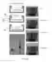 Fig. 22 - Controlled buckling structures in semiconductor interconnects and nanomembranes for stretchable electronics