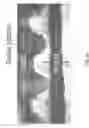 Fig. 28 - Controlled buckling structures in semiconductor interconnects and nanomembranes for stretchable electronics