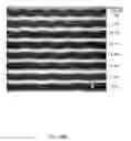 Fig. 30 - Controlled buckling structures in semiconductor interconnects and nanomembranes for stretchable electronics