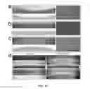 Fig. 33 - Controlled buckling structures in semiconductor interconnects and nanomembranes for stretchable electronics