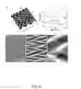 Fig. 44 - Controlled buckling structures in semiconductor interconnects and nanomembranes for stretchable electronics