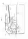 Fig. 02 - Scanner device and multifunction apparatus with supply path, discharge path, and re-supply path integrally formed together