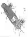 Fig. 02 - Self-illuminating skateboard