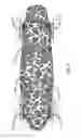 Fig. 08 - Self-illuminating skateboard