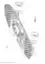 Fig. 02 - Skateboard with engraved grip surface