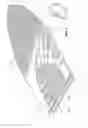Fig. 05 - Skateboard with engraved grip surface