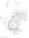 Fig. 02 - VEHICLE-BODY FRONT STRUCTURE