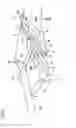 Fig. 07 - Seat back interlocking ottoman device and vehicle seat
