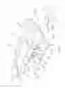 Fig. 05 - Tattoo chair