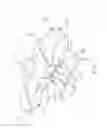 Fig. 06 - Tattoo chair