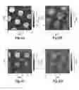 Fig. 07 - Flexible molecular piezoelectric device