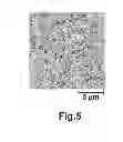 Fig. 06 - Magnetic measurement device
