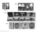 Fig. 10 - Multiple display-units LED light device has special light effects