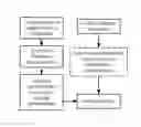 Fig. 01 - METHOD, SYSTEM, SOFTWARE AND MEDIUM FOR ADVANCED IMAGE-BASED ARRAYS FOR ANALYSIS AND DISPLAY OF BIOMEDICAL INFORMATION