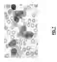Fig. 08 - Wavelength discriminating imaging systems and methods