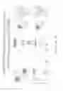 Fig. 16 - Systems and methods for self-referenced quantitative phase microscopy