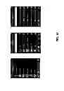 Fig. 17 - System for controlling media presentation devices