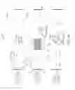 Fig. 09 - Capacitive touch sensor having pseudo jumpers