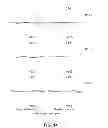 Fig. 15 - Imaging lens