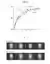 Fig. 13 - Hybrid insulation sheet and electronic apparatus using the same