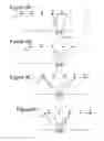 Fig. 09 - Wide azimuth seismic data acquisition method and system skipping lines