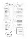 Fig. 28 - Systems and methods for traffic aggregation on multiple WAN backhauls and multiple distinct LAN networks